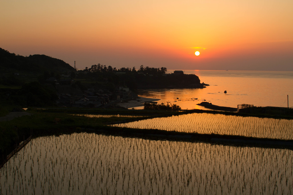 海と水田の夕景