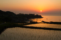 海と水田の夕景