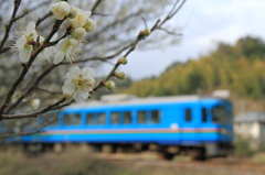 梅花薫る