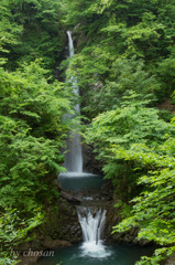 新緑の大山滝
