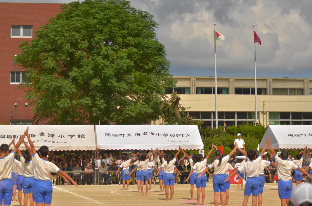 学校の大きな木