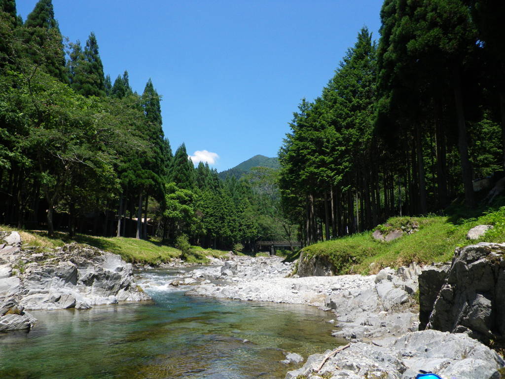 夏の思い出