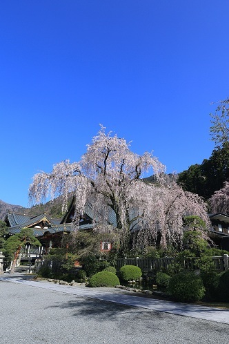 信仰の山で輝く