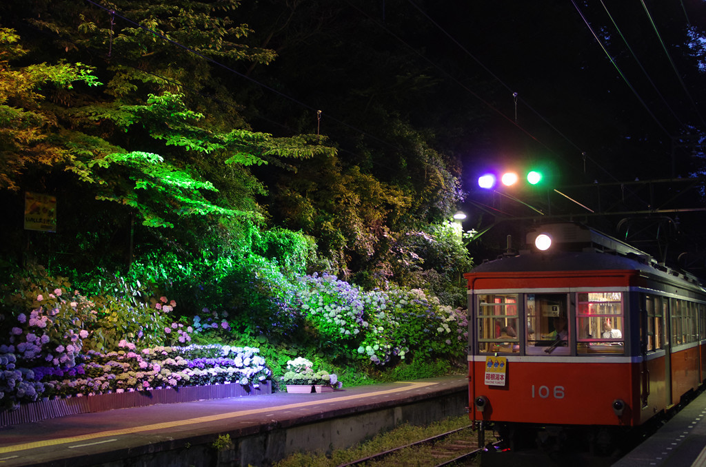 宮ノ下駅であじさいライトアップ