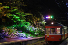 宮ノ下駅であじさいライトアップ