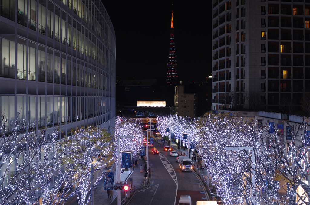六本木クリスマス