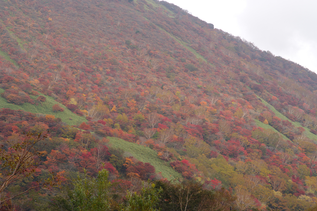 那須岳紅葉