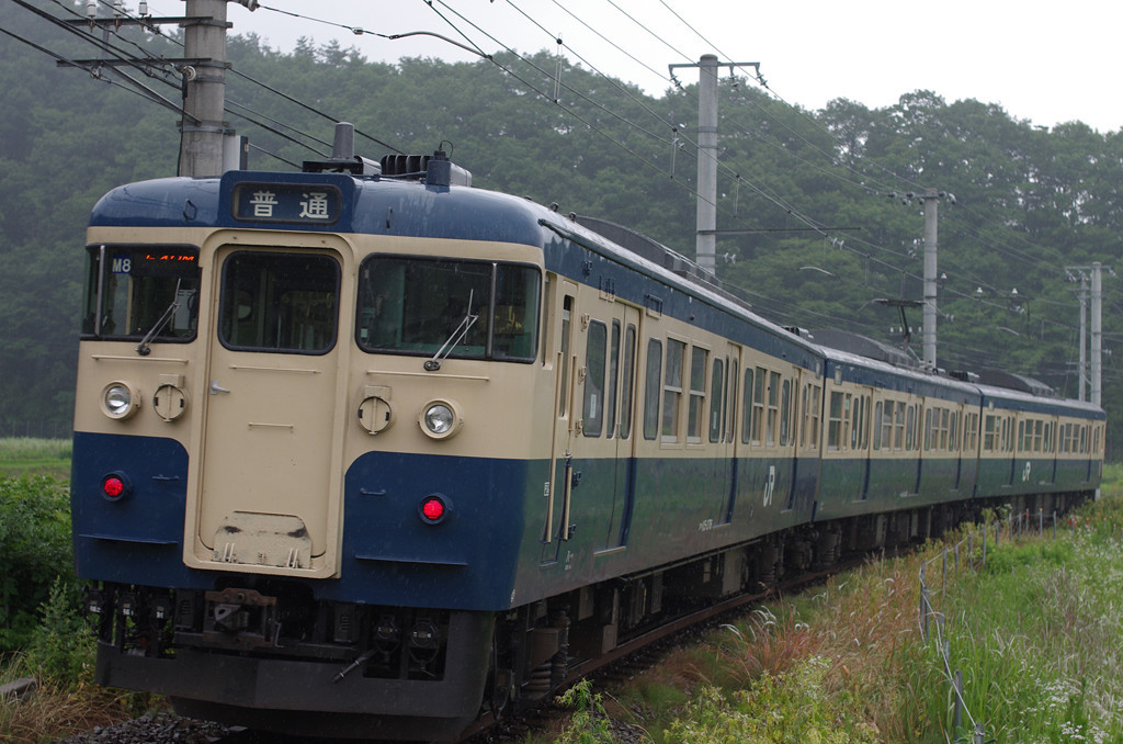 レアモノな１１５系