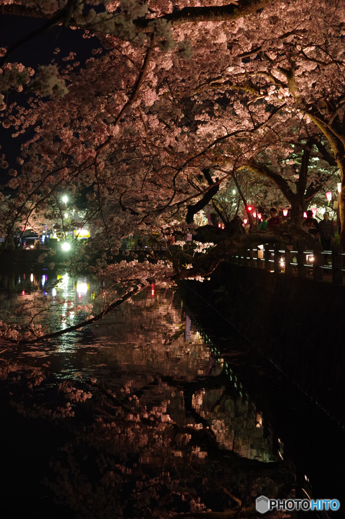 小田原城址公園