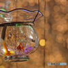 イルミネーション金魚鉢
