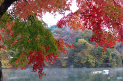 湯気立ちのぼり