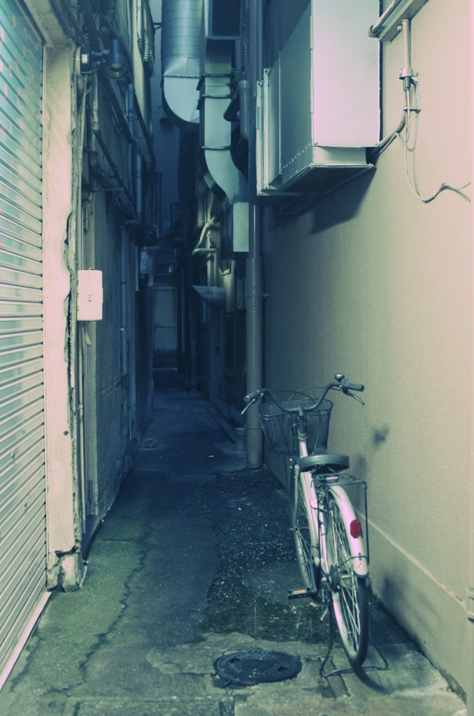 気になるドア