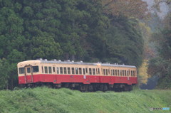 秋、小湊鉄道Ⅱ