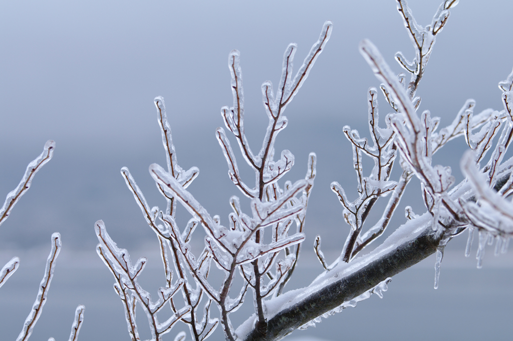 Ice coating