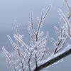 Ice coating