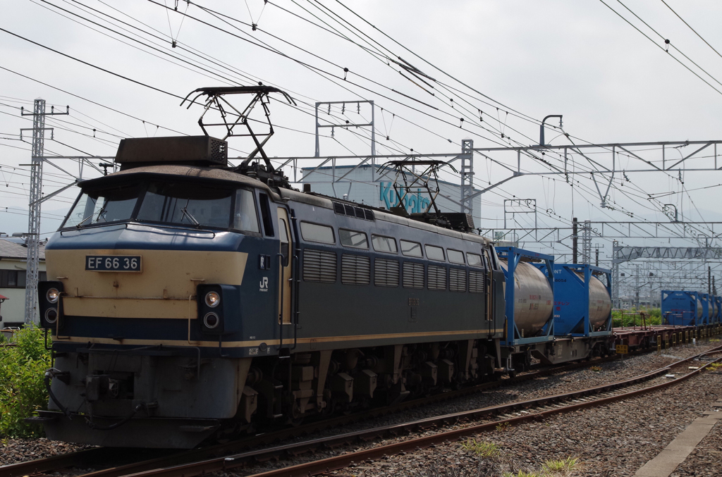 EF66 36