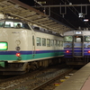 くびき野と１１５系新新潟色