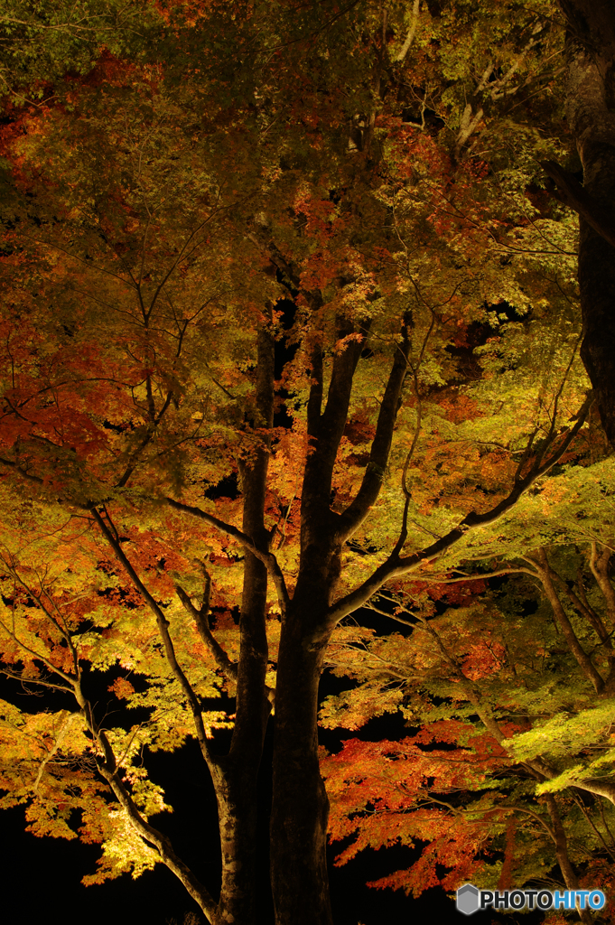 山中湖 夕焼けの渚 紅葉まつり2016