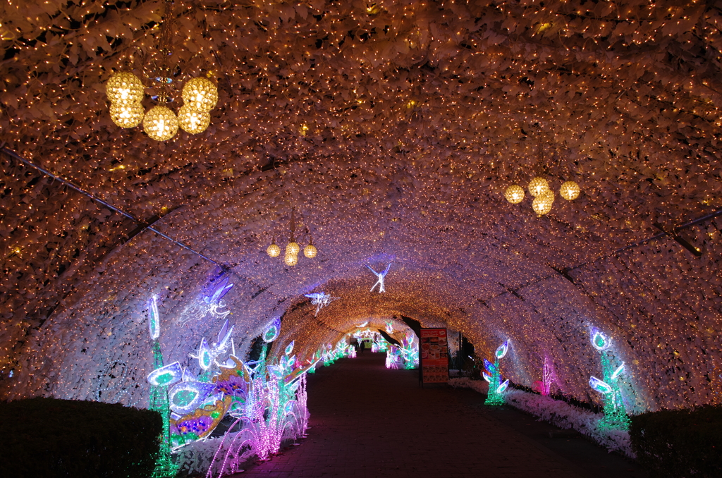 時の栖ウィンターイルミネーション