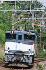 PF単機