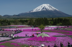 展望台から