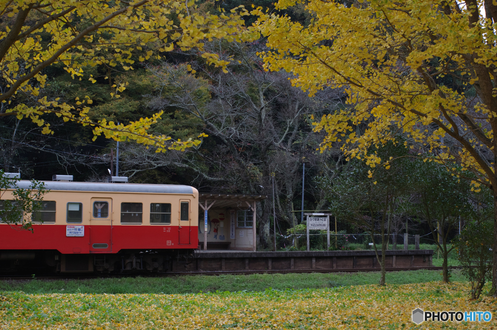 秋、小湊鉄道