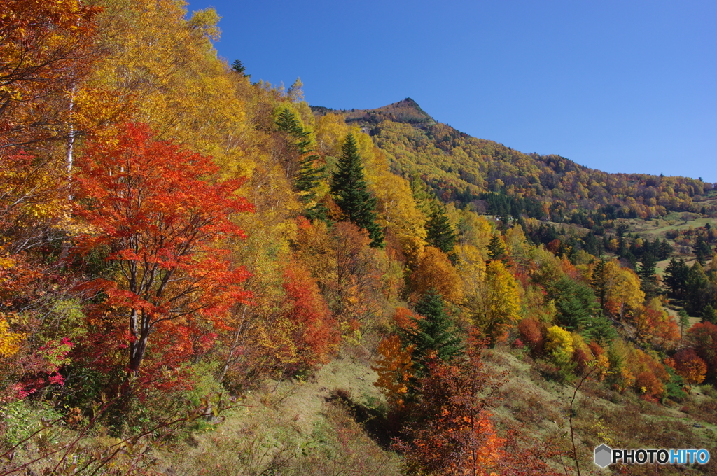 山田牧場