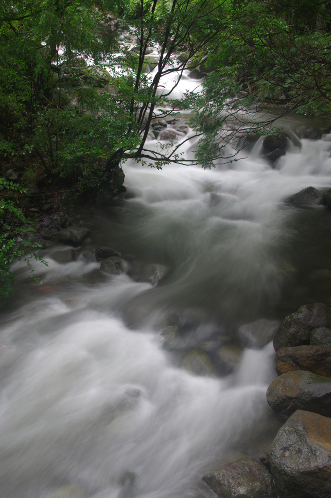 山奥の沢