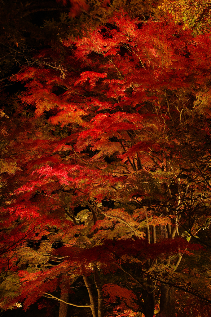 山中湖夕焼けの渚 紅葉まつり2018