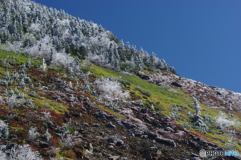 白銀の山