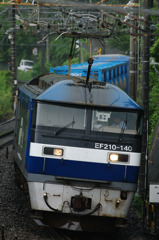大粒の雨の中