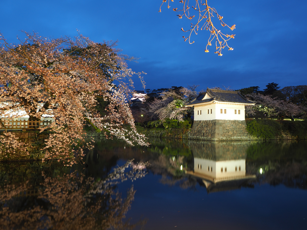 お城と桜