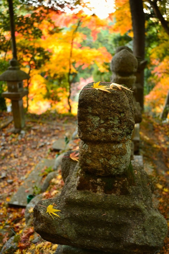 自然の芸術