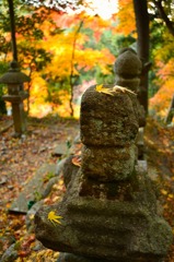 自然の芸術