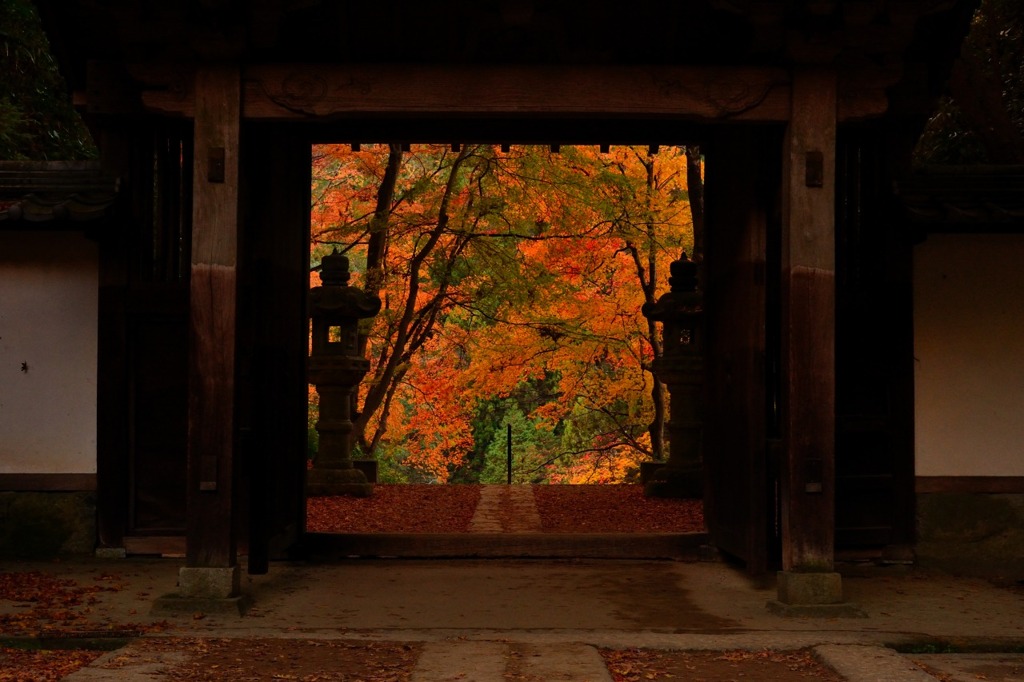 寺院×紅葉