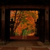 寺院×紅葉