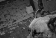 DSC_0158