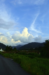 散歩道