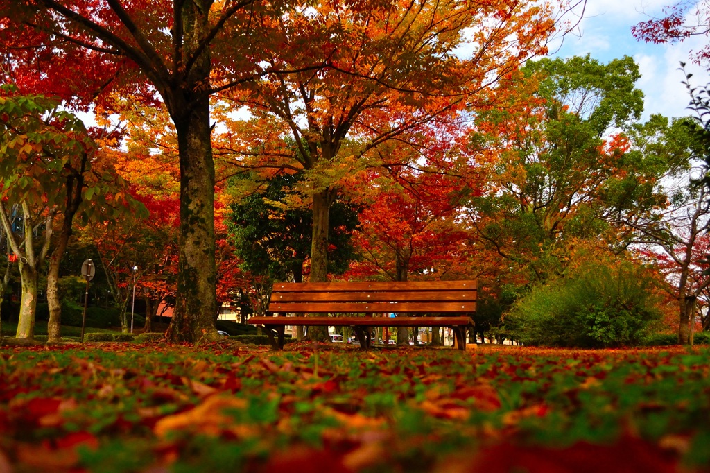 紅葉3