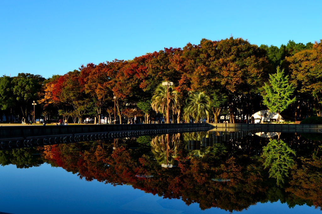 白川公園 秋