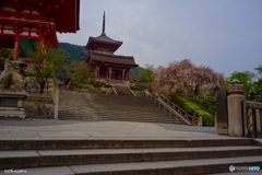 早朝の清水寺