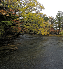 奥日光湯ノ湖-1