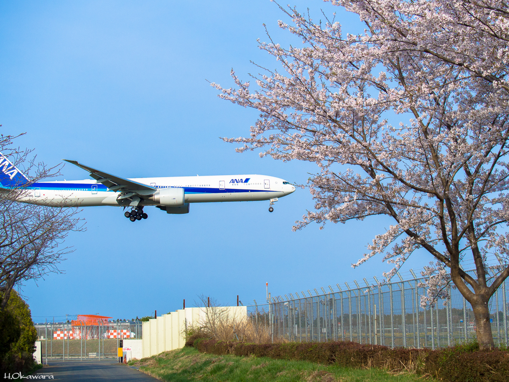 Landing-1