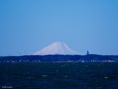 霞ヶ浦からの富士山