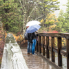 雨の紅葉散策