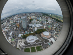 塔からの眺め