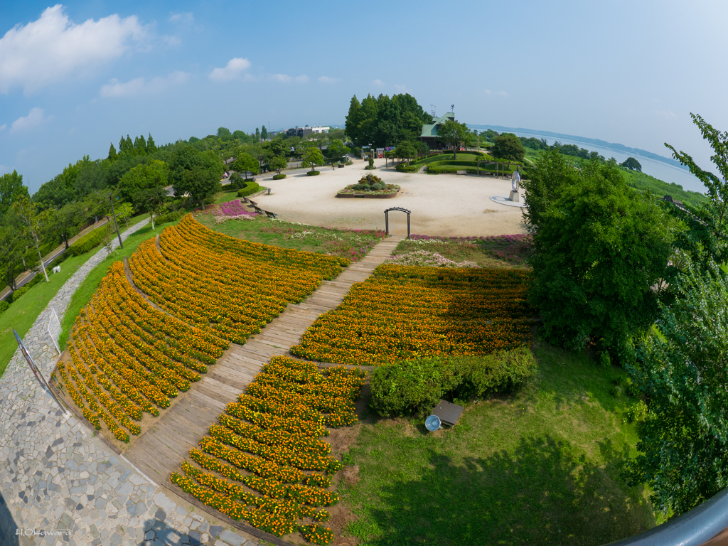 霞ヶ浦総合公園