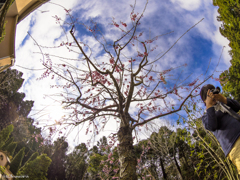 FISHEYE Debut-2
