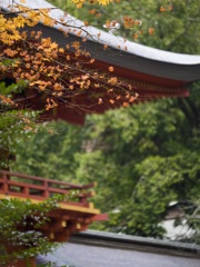 香取神宮-4