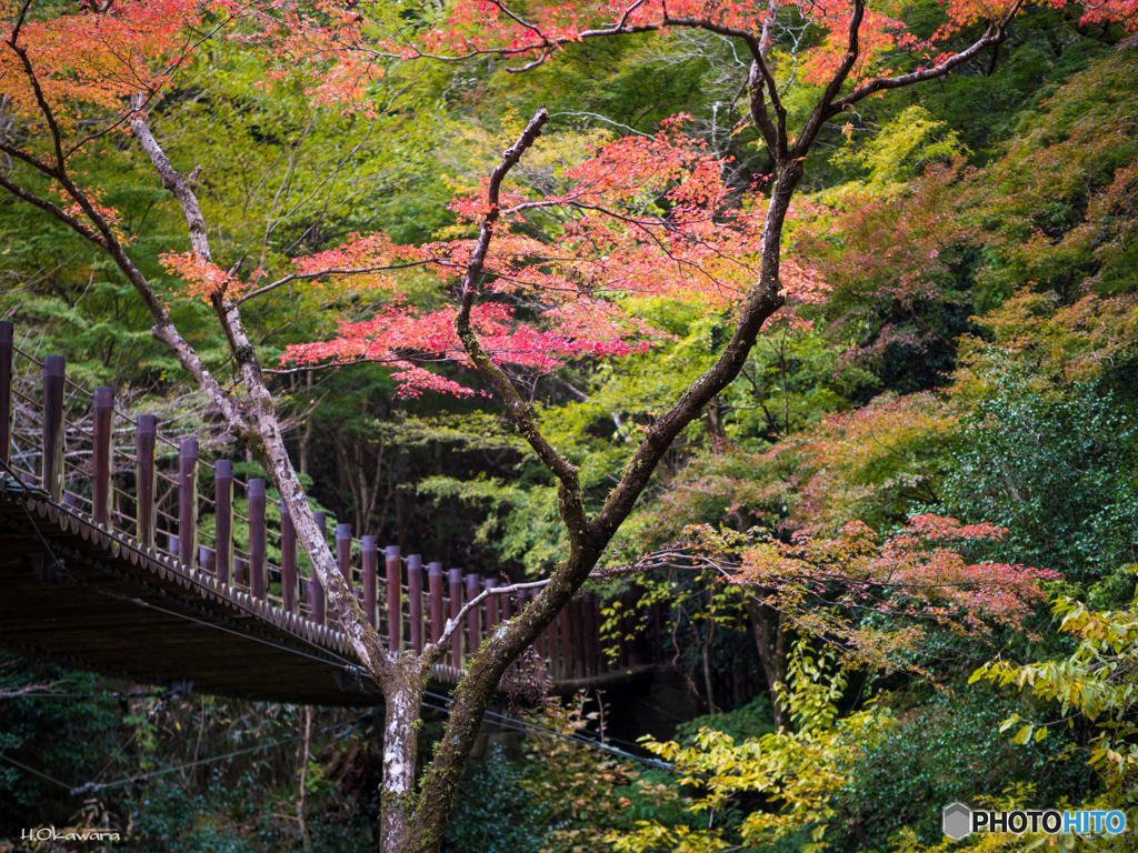 吊橋